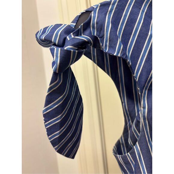 Derek Lam 10 Crosby Blue/White Striped Dutton Down Dress - Picture 6 of 8